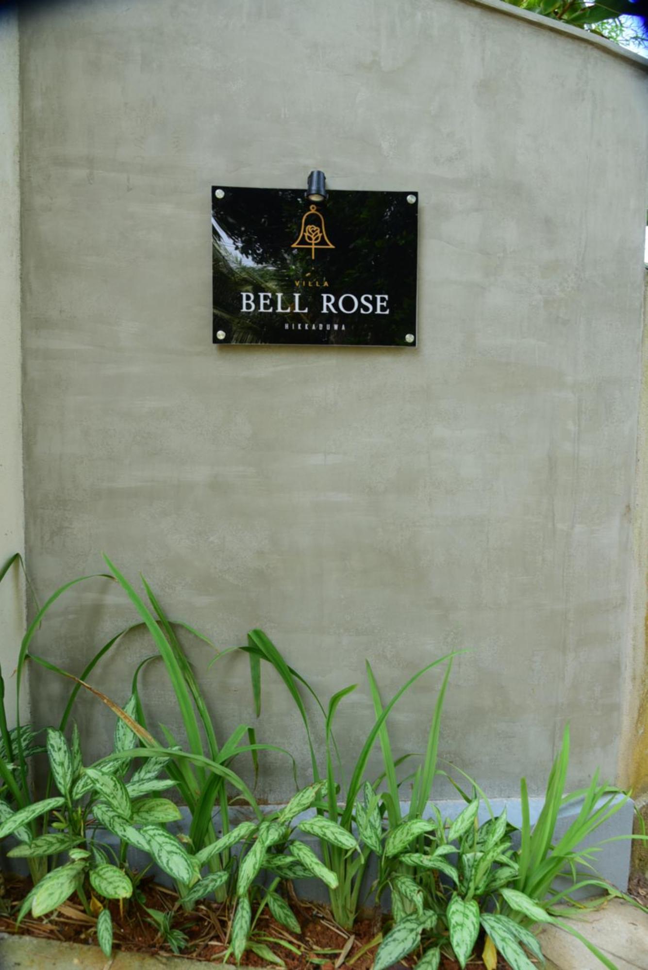 Bell Rose *